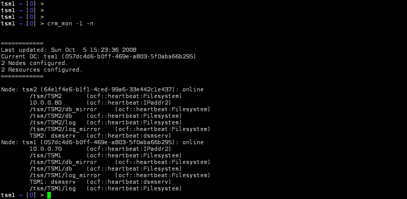 Showing the initial state of the cluster resources